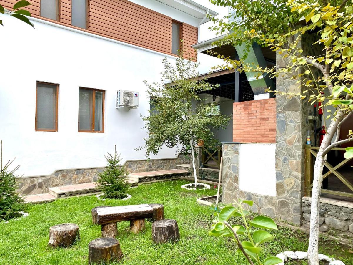 Villa Gabala Sweet Lounge Esterno foto
