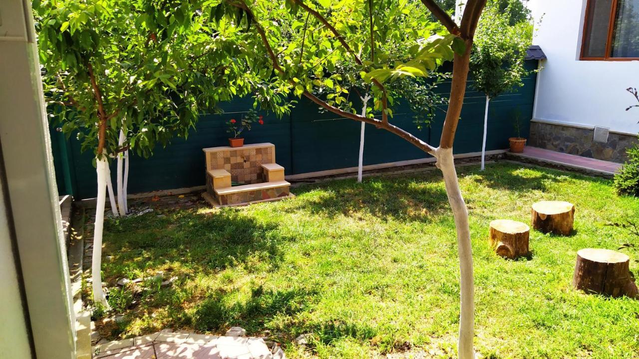 Villa Gabala Sweet Lounge Esterno foto