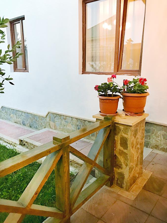 Villa Gabala Sweet Lounge Esterno foto